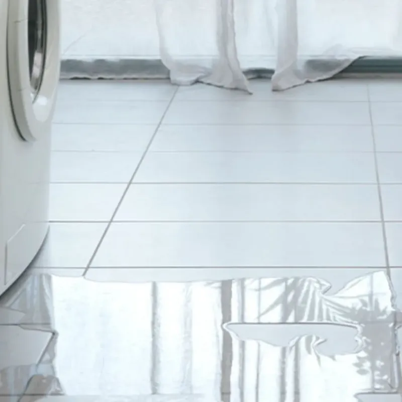 Appliance Leak Cleanup in Franklin, ME