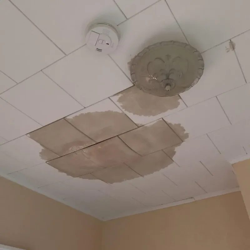 Ceiling Water Damage Repair in Franklin, ME